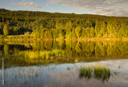 Beautiful evening light on the bank of the river Klaralven
