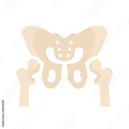 hip bone