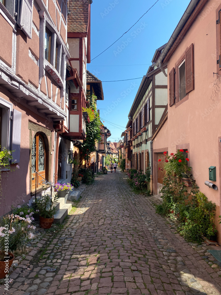 Obraz premium Beautiful houses in Alsace village in France