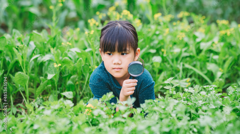 Little children play and exploring in garden. Concept for family life style with eco friendly gardening and sustainable living by grow your own food at home. Little children play and exploring in garden. Concept for family life style with eco friendly gardening and sustainable living by grow your own food at home.