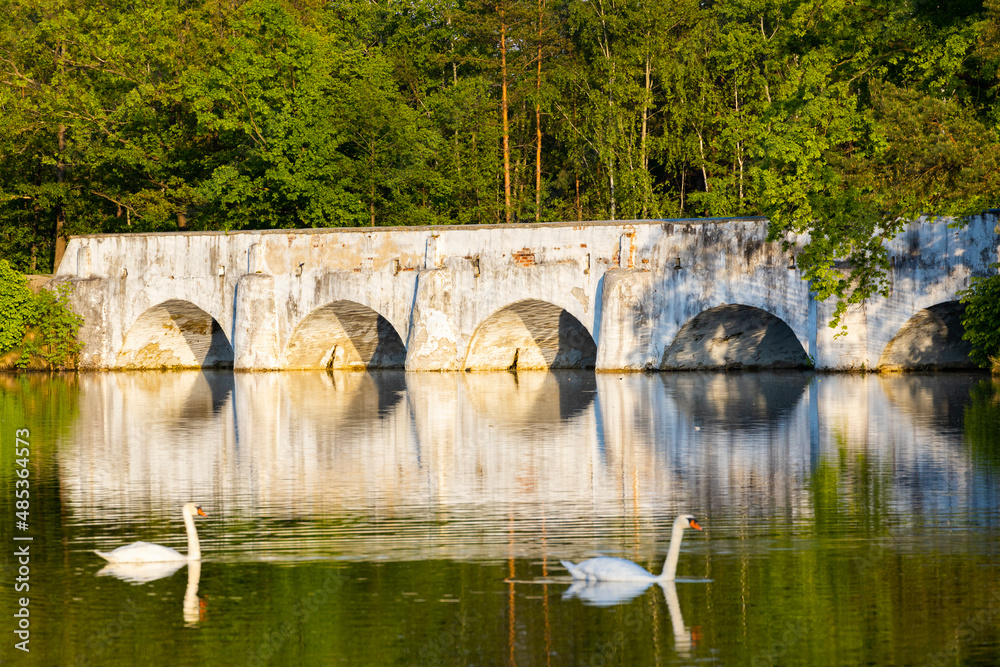 custom made wallpaper toronto digitalOld stone bridge over Vitek pond, Nova Hlina near Trebon, Jindrichuv Hradec district, Southern Bohemian, Czech Republic