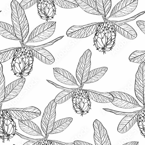 Seamless pattern with magnolia flowers branch and seeds on a white background in line art. © Iuliia