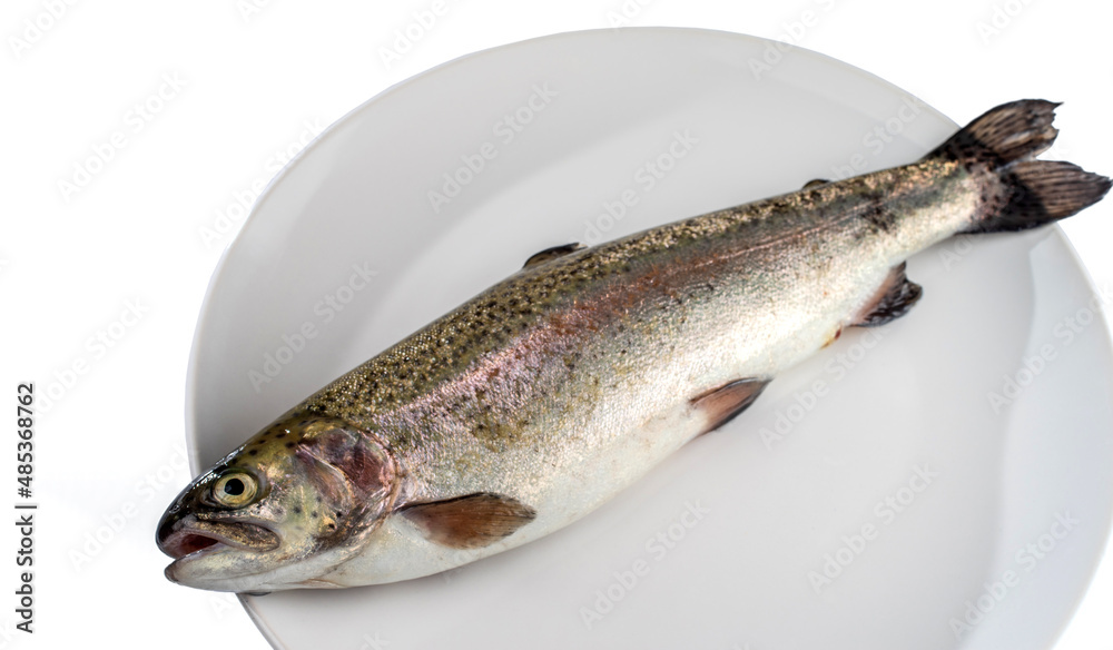 Fresh river trout on a white plate. Isolated on a white background. Selective focus.. Fresh river trout on a white plate. Isolated on a white background. Selective focus..