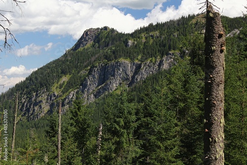 Plakat tatry