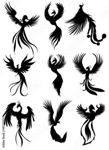 phoenix bird, fire bird set silhouette ,on white background