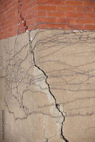 Foundation with Large Crack that extends into the brick wall above it