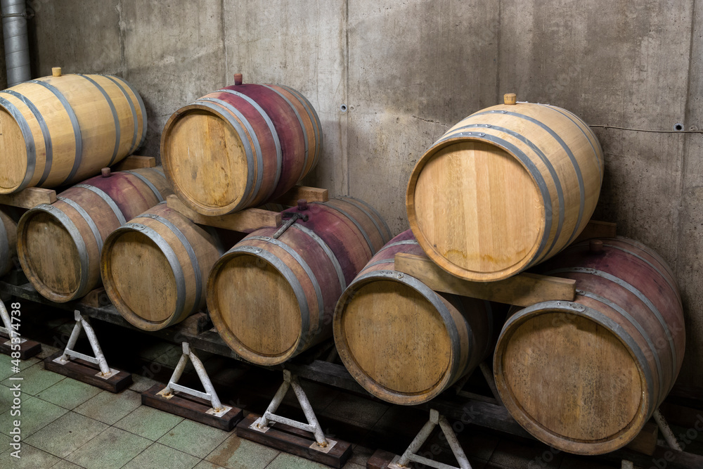 Wooden oak barrels in a winery nearby Batorove Kosihy, Slovakia