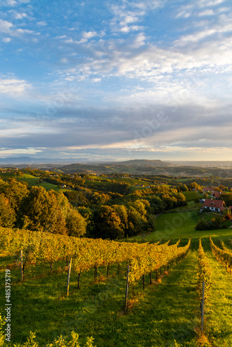 Highest vineyards in Austria near the village Kitzeck im Sausal  Styria  Austria