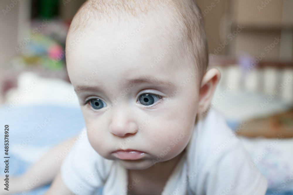 Portrait of a little girl 6 months old Portrait of a little girl 6 months old