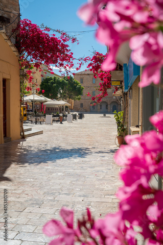 old town of nafplio with flowers in the foreground -  syntagma square, Nafplio, Peloponnese, Greece
