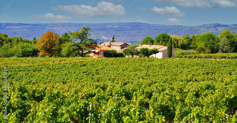 View on rural valley with vines with typical french winery in autumn sun, mountains background - Gordes, Provence, France