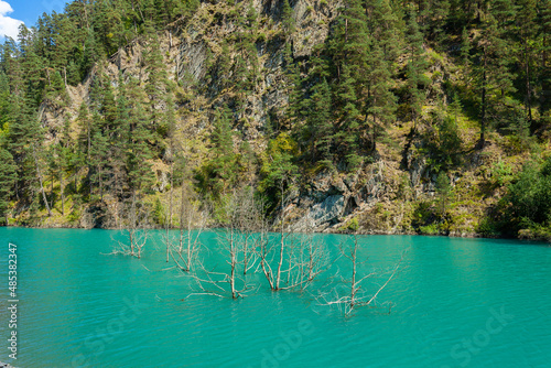 The trees flowed from the water into the lake. Tusheti