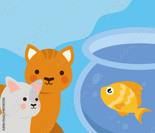 pets cats and fish