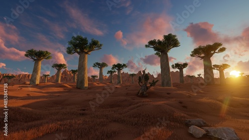 Baobab trees in African landscape in sunset time  3D illustration