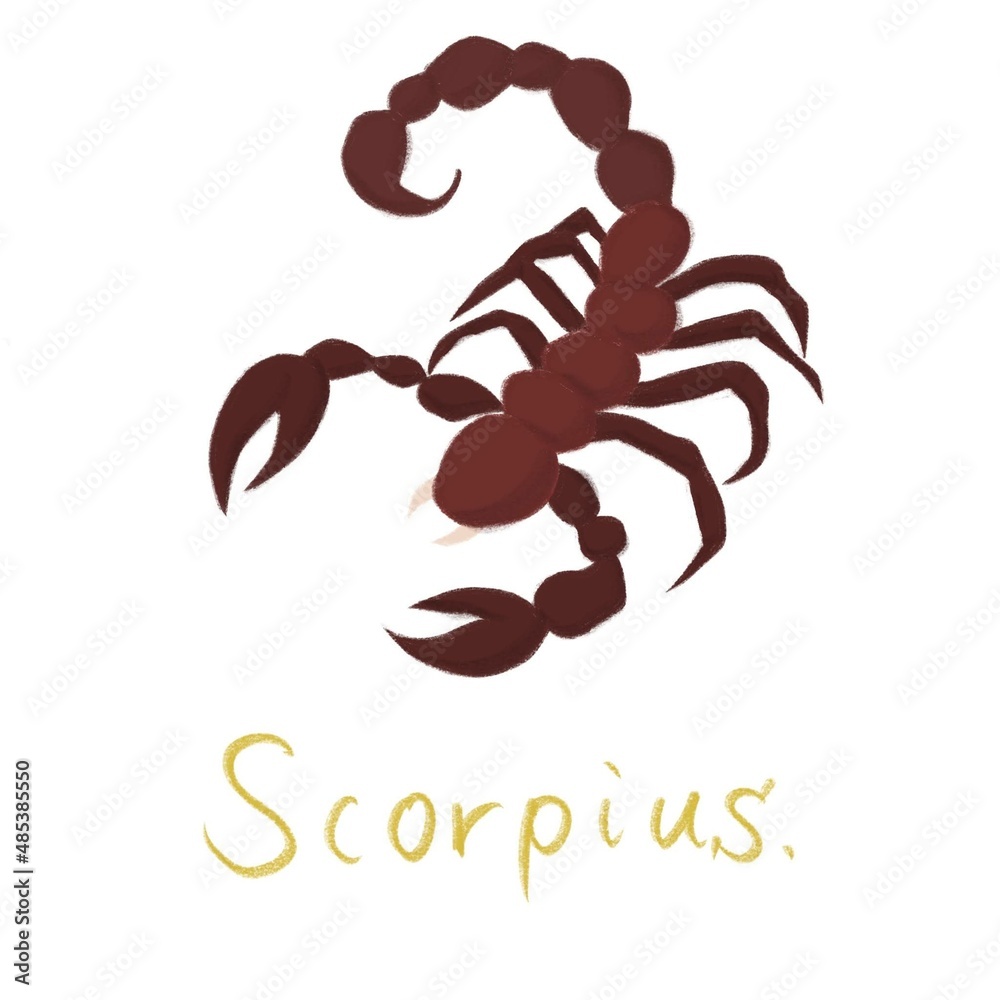 Obraz premium 12星座_イラスト_さそり座