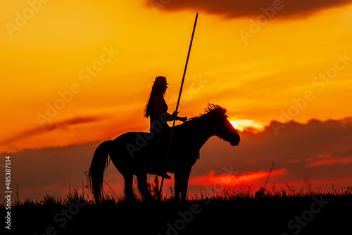 beautiful woman with long hair like a silhouette with a long spear at sunset