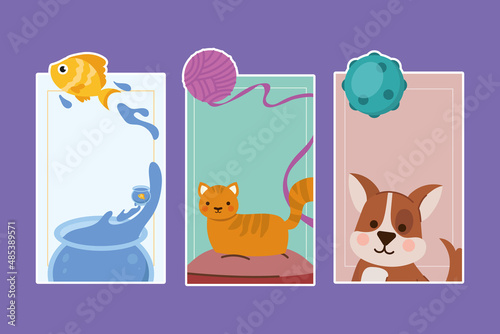 pets little animals banner