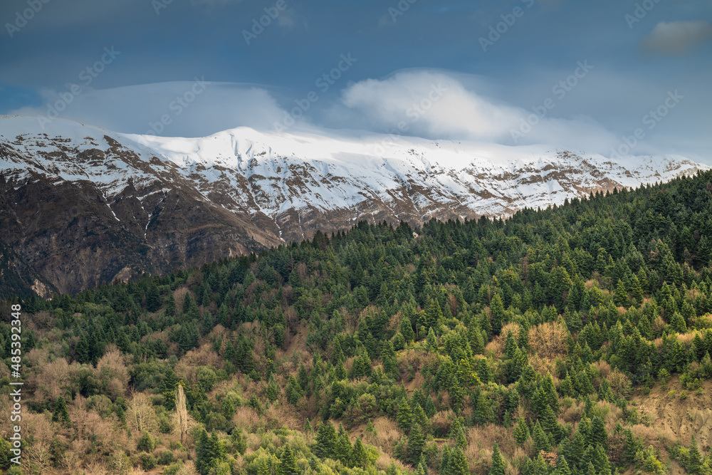 View of pine trees and mountain covered in snow at Tzoumerka Greece View of pine trees and mountain covered in snow at Tzoumerka Greece
