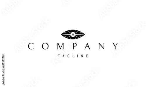 Vector logo on which an abstract image of the eye where the pupil is in the form of a shining star.