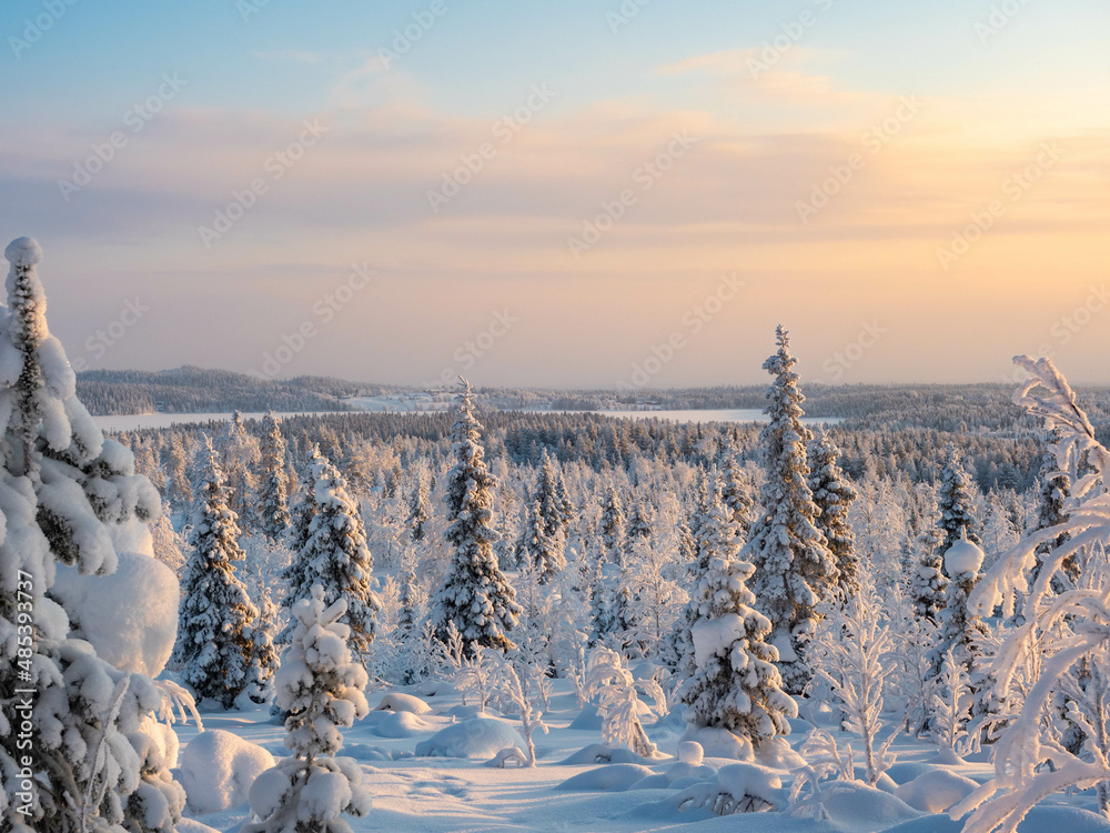Snow covered forest and scenery at Konttainen peak, Kuusamo, Finland
