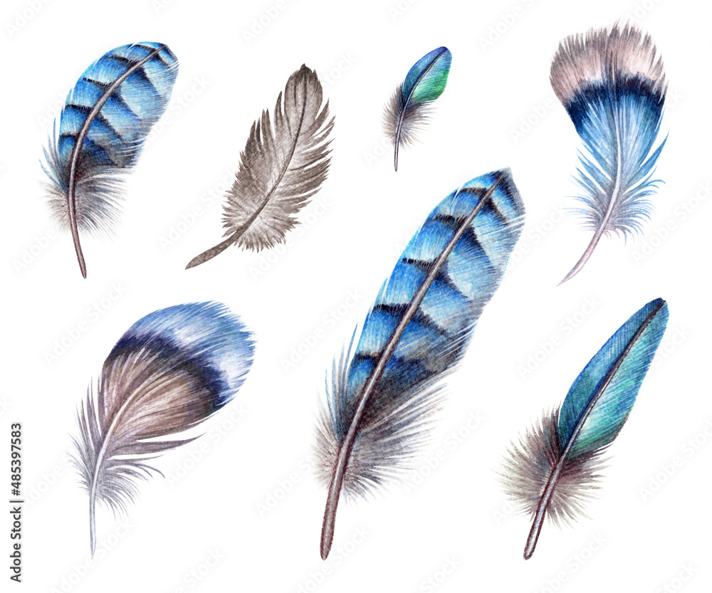 watercolor illustration, blue boho feather, easter clip art, tribal assorted design elements, isolated on white background watercolor illustration, blue boho feather, easter clip art, tribal assorted design elements, isolated on white background