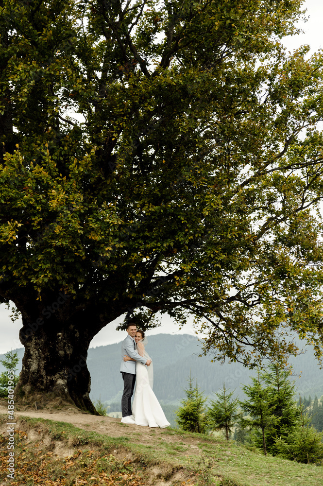 Autumn wedding in the mountains. A young guy in a blue jacket and trousers and a girl in a white dress stand joyful under the branches of a large tree in the mountains at sunset
