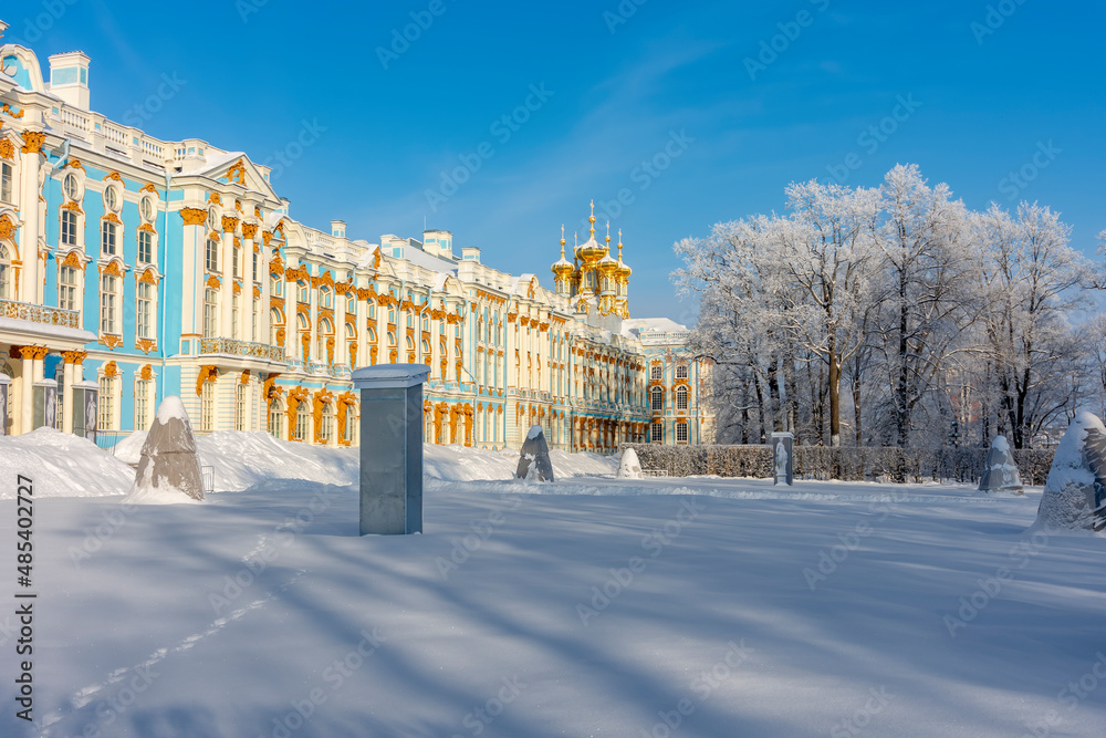 Catherine palace and park in winter, Tsarskoe Selo (Pushkin), St. Petersburg, Russia