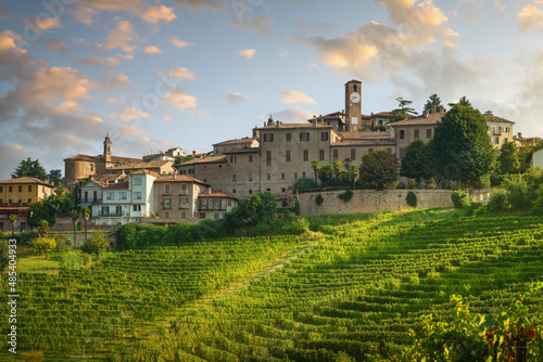 Neive village skyline and Langhe vineyards  Piedmont  Italy Europe.