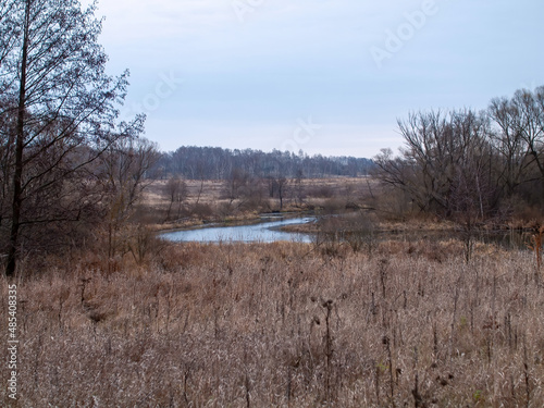 the bank of a small forest river on a cloudy day