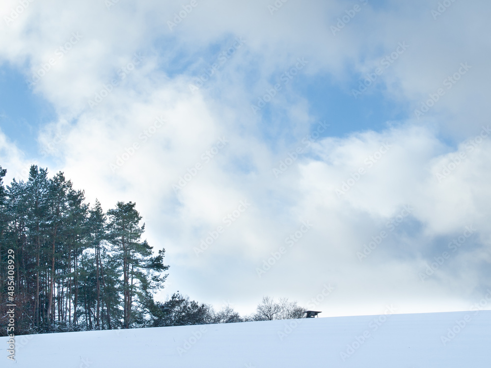 Winterwald vor blauem Wolkenhimmel Winterwald vor blauem Wolkenhimmel