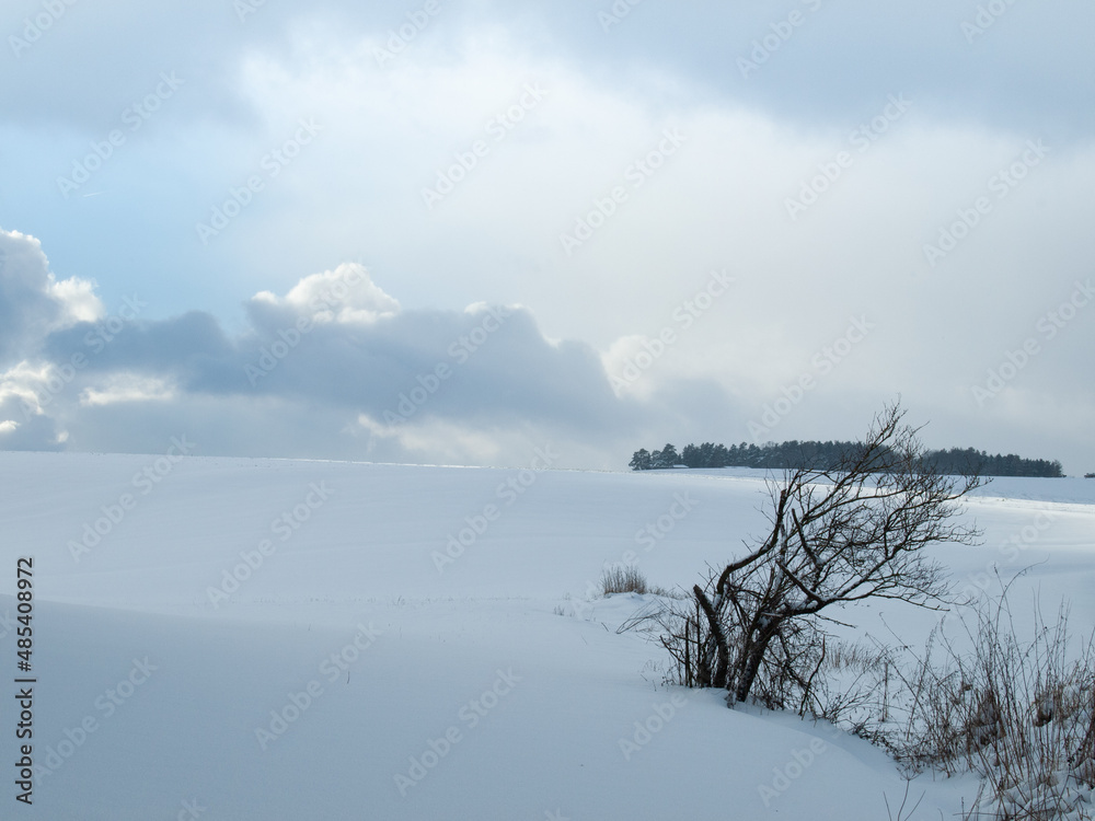 Winterlandschaft im Schnee
