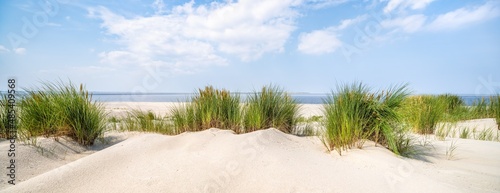 Dune beach panorama in summer photo