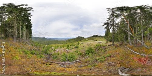 Castle Rock clearcut