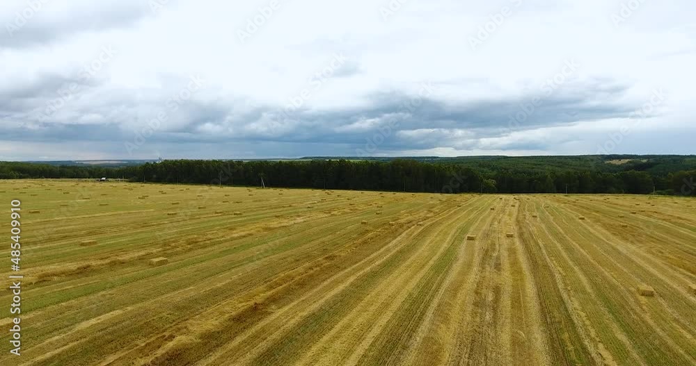 Harvested wheat field from a bird's eye view Harvested wheat field from a bird's eye view