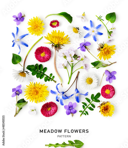 Fototapeta Naklejka Na Ścianę i Meble -  Meadow flowers pattern and creative background.