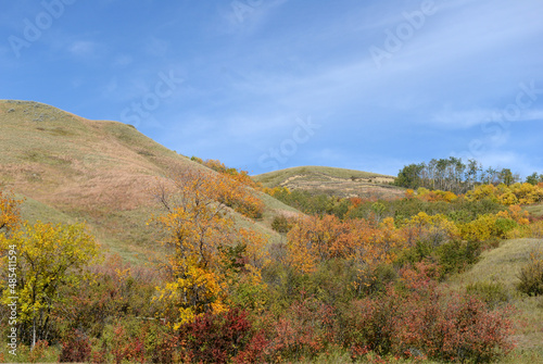 Fall landscape