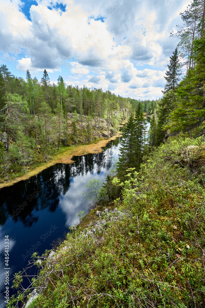 lake in forest creek