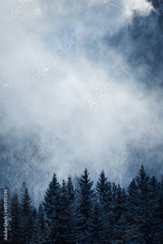 Wetterstein - winter landscape with snow covered mountains, forest and dramatic fog © Hanjin