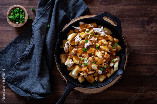 Poutine tater tot nachos, against a dark background, ready for snacking. photo