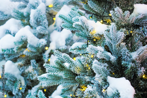 Winter christmas tree with glowing garland, white snow, blue spruce