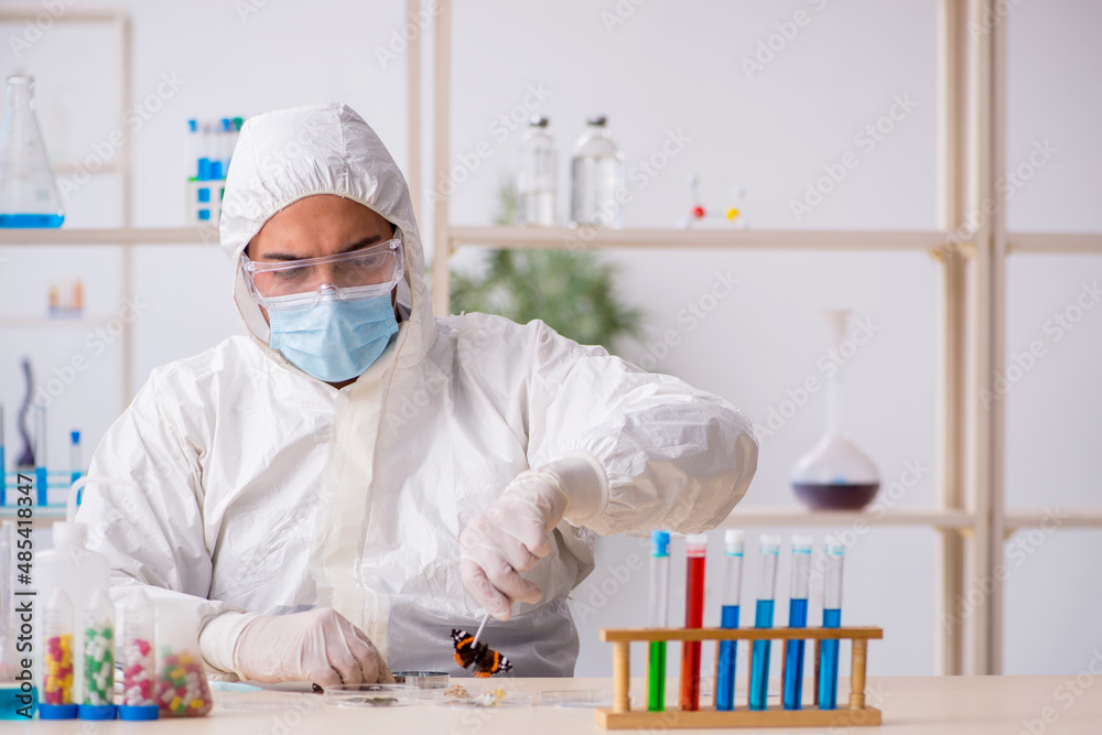 Young male chemist zoologist working at the lab during pandemic Young male chemist zoologist working at the lab during pandemic