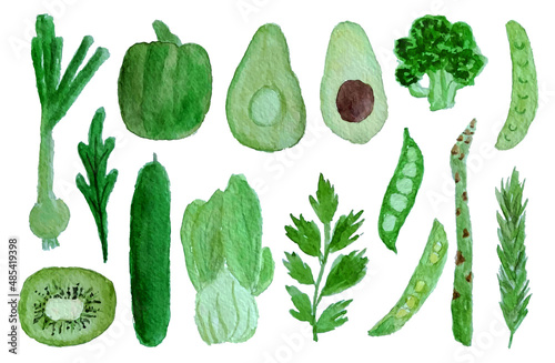 a set of green vegetables and fruits watercolor hand drawn