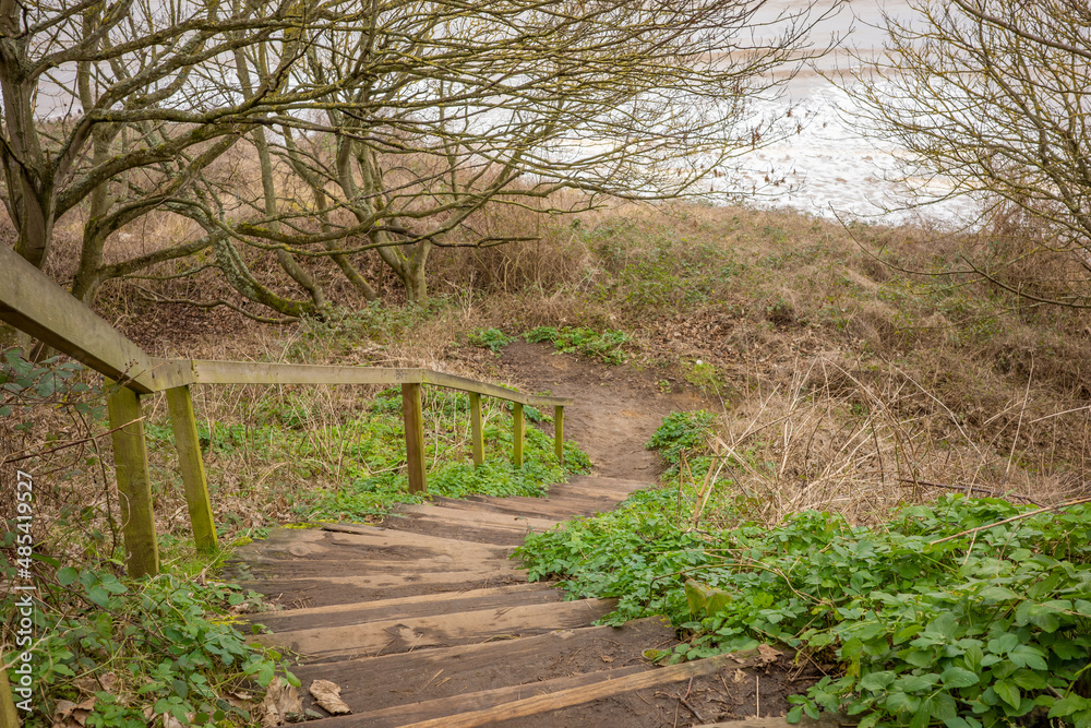 Wooden steps in the Norfolk countryside