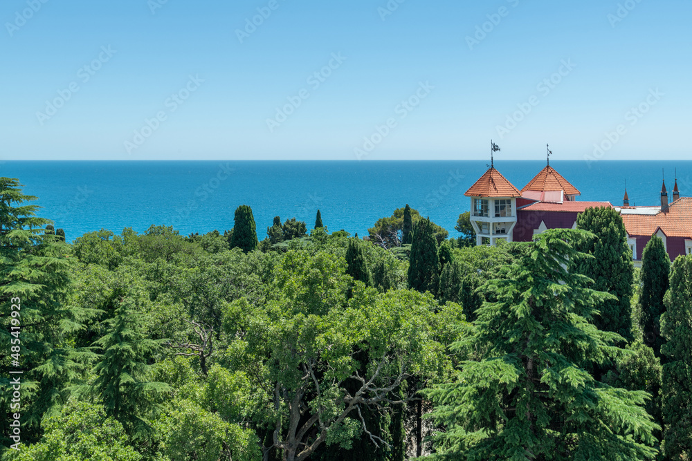 View of Miskhor Park and the Black Sea, Crimea