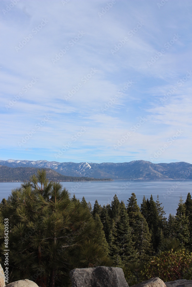 Lake Tahoe Scenery with Evergreens