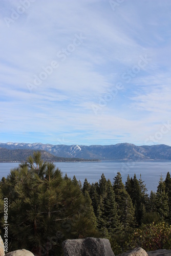Lake Tahoe Scenery with Evergreens