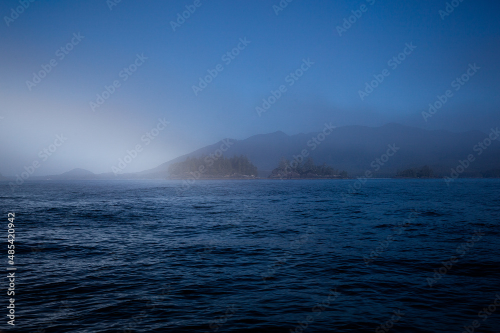 The edge of a fog bank, Flores Island, Clayoquot Sound, Vancouver Island, B.C, Canada.