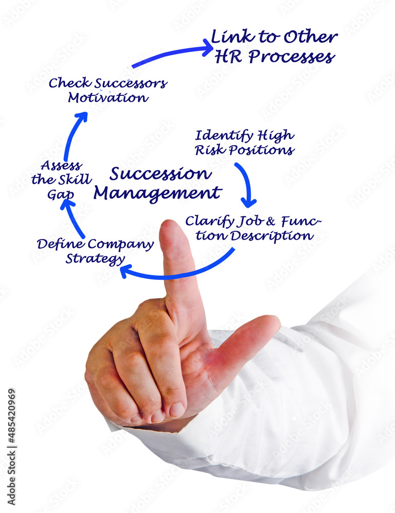 Six Components of Succession Management Six Components of Succession Management