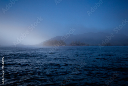 The edge of a fog bank, Flores Island, Clayoquot Sound, Vancouver Island, B.C, Canada.