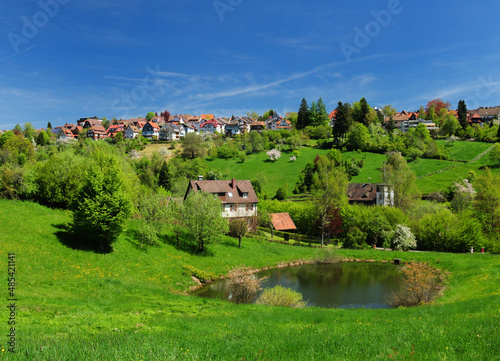 Rolling Hills In Freudenstadt Black Forest Germany On A Beautiful Sunny Spring Day With A Clear Blue Sky And A Few Clouds photo